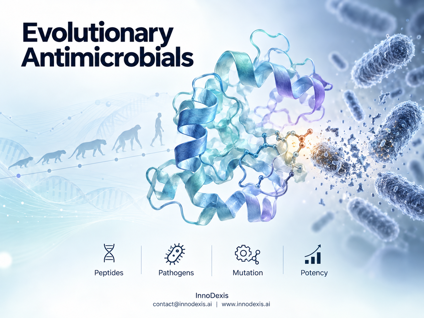 Ancestral Lactoferrin Peptides Reconstructed Across 160 Million Years Outperform Modern Human Protein Against Drug-Resistant Pathogens