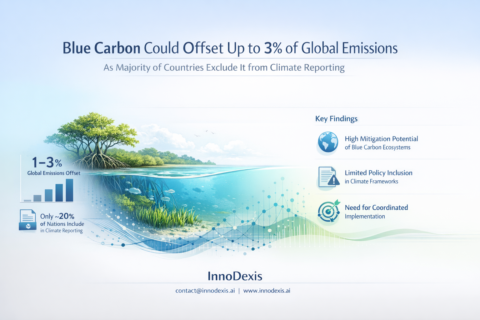 Blue Carbon Could Offset Up to 3% of Global Emissions as Majority of Countries Exclude It from Climate Reporting