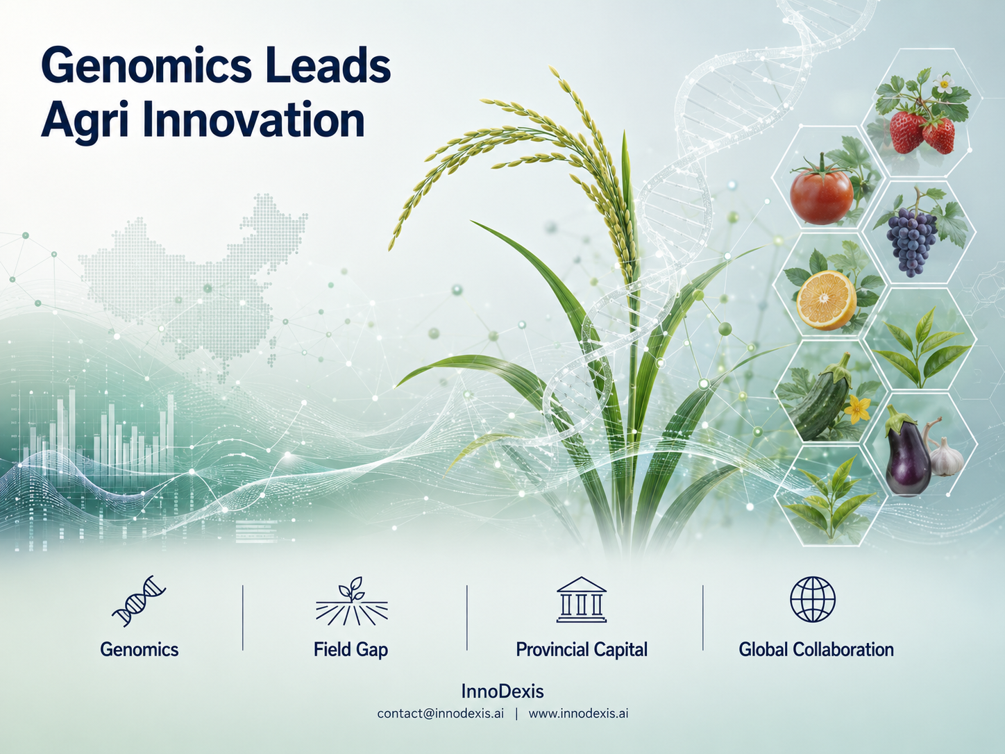 China's Agricultural Research System Produces 82 Curated Innovations Led by Crop Genomics as a Field-Validation Gap and a Horticulture Skew Diverge From Stated Food-Security Policy