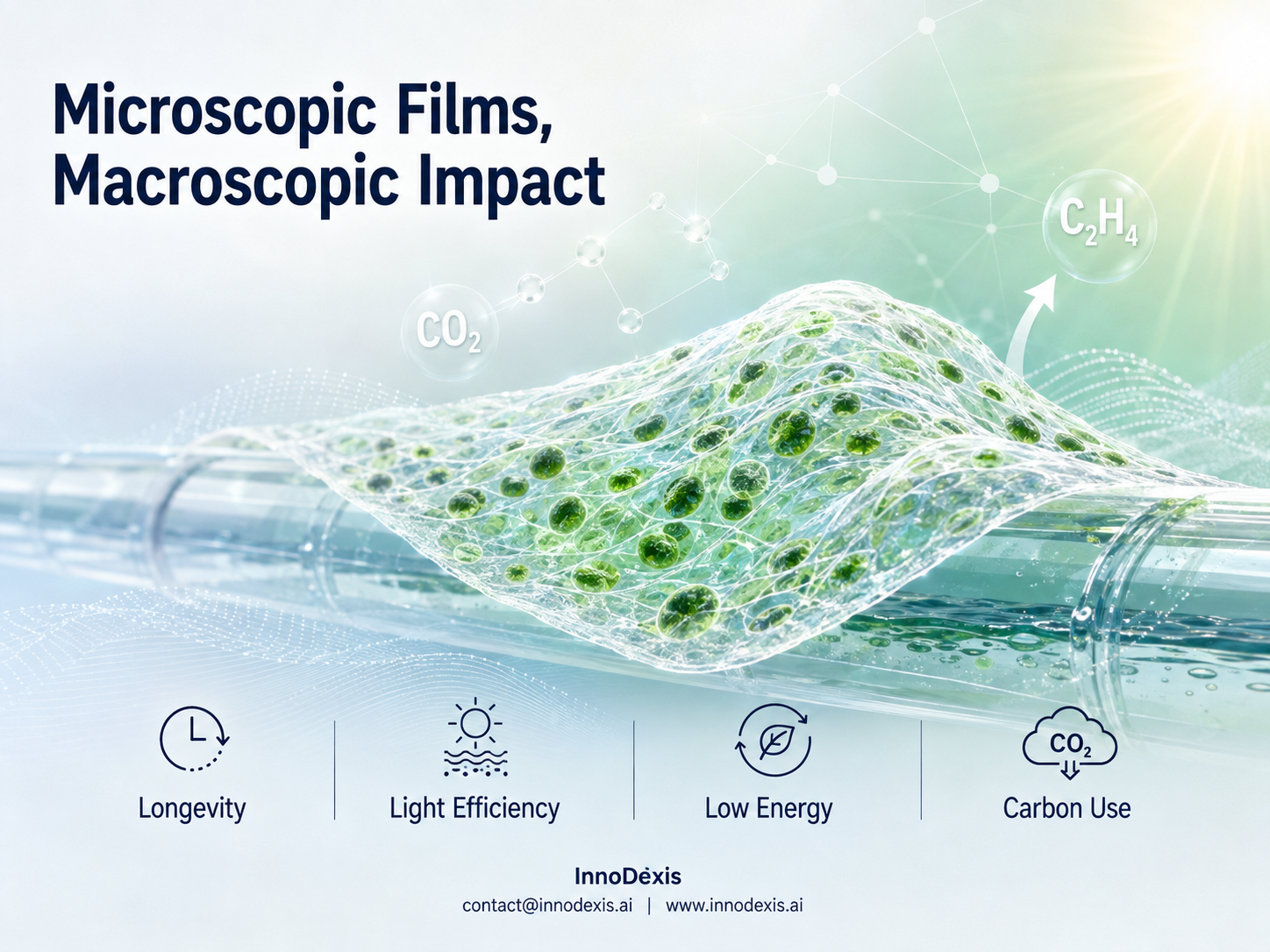 Finnish Researchers Sustain Ethylene Production from CO₂ for Four Months Using Living Nanocellulose Biohybrid Films