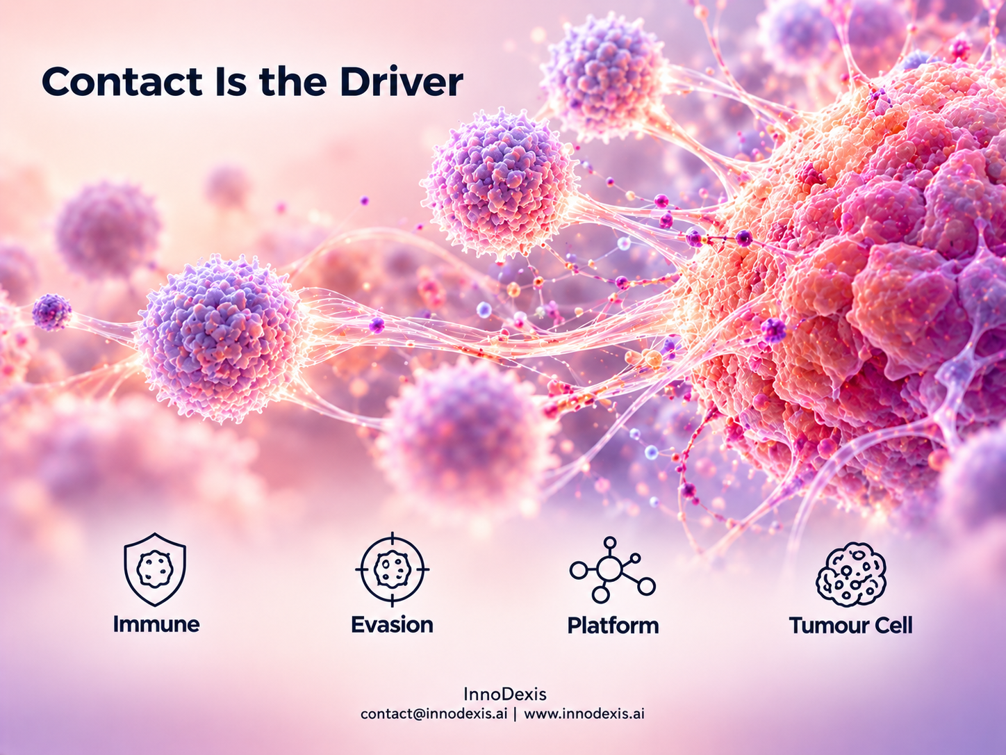 Glioblastoma Organoid Model Shows Direct Tumour Contact Drives T-Cell Dysfunction as MHC-I Stays Preserved in Luxembourg Institute of Health Study