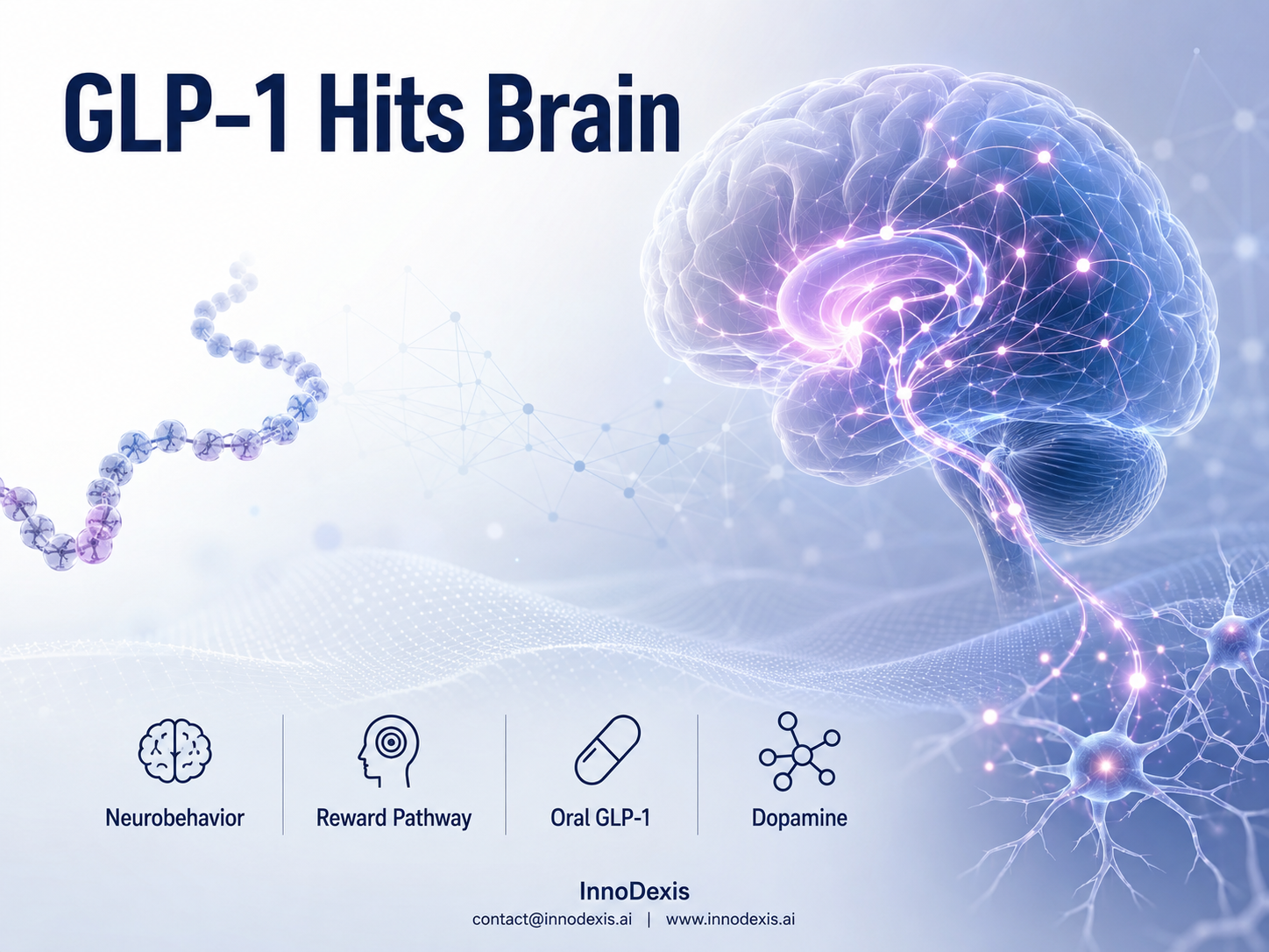GLP-1 Research Expands Beyond Metabolism as Neural Reward Pathways Become a Focus of Brain-Behavior Studies