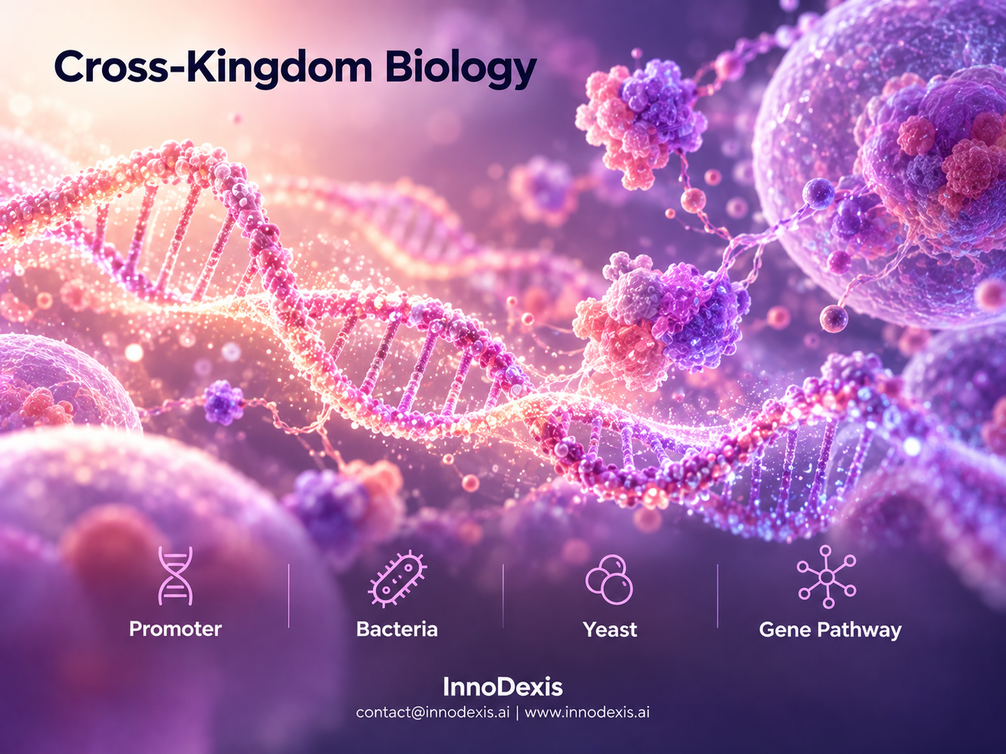 KAIST's Cross-Kingdom Promoter Scales 3.1x in E. coli and 2.6x in Yeast, Enabling Direct Host Comparison in Synthetic Biology
