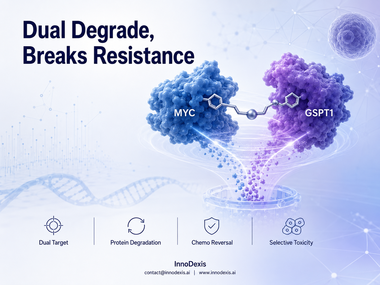 MD Anderson Researchers Develop Dual Protein Degrader That Targets MYC in Preclinical Blood Cancer Models After Decades of Failed Drug Design Attempts