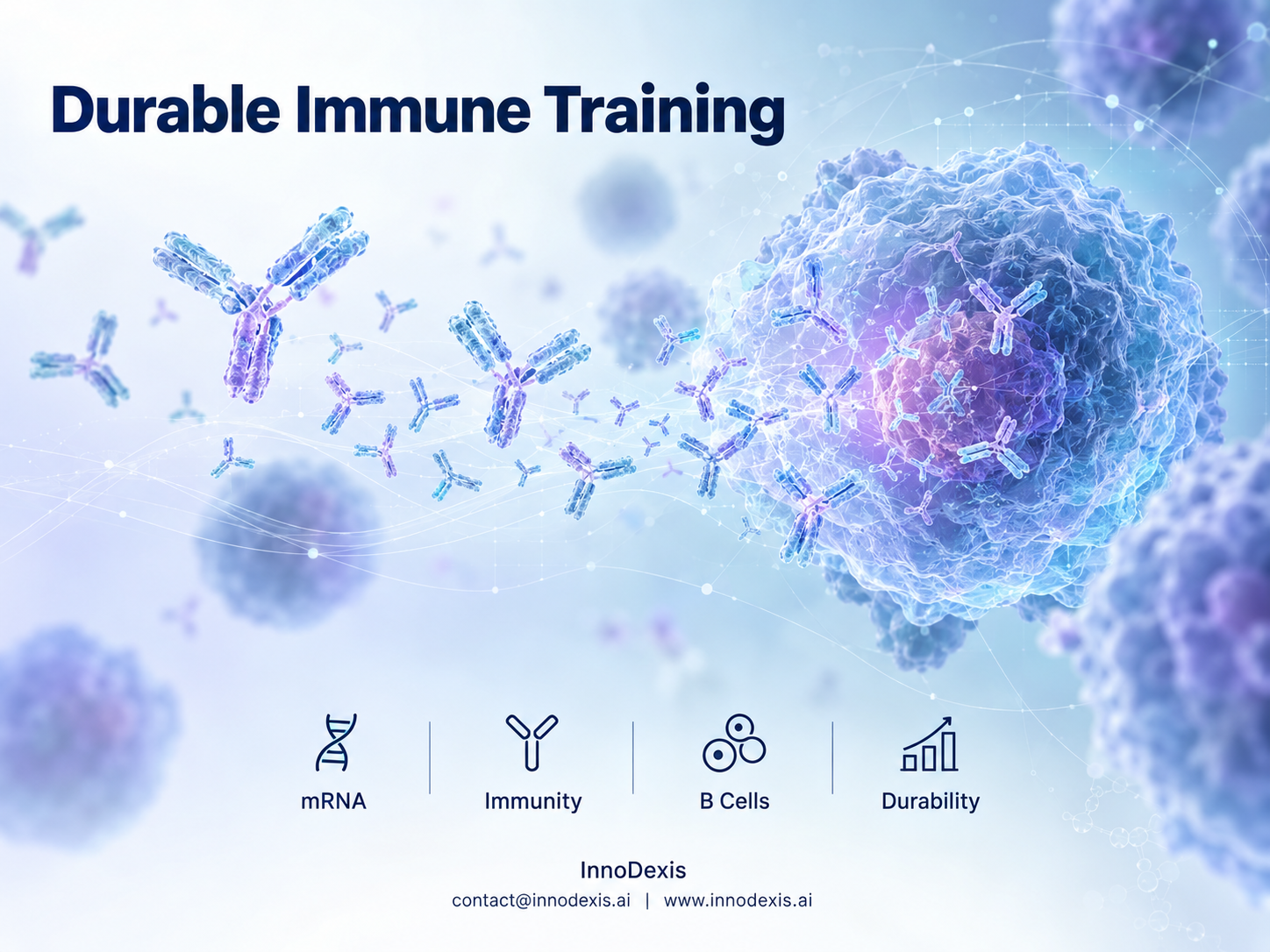 mRNA-1010 Sustains Germinal-Center Activity for 26 Weeks as Antibody Diversification Outpaces Fluarix in Head-to-Head Trial