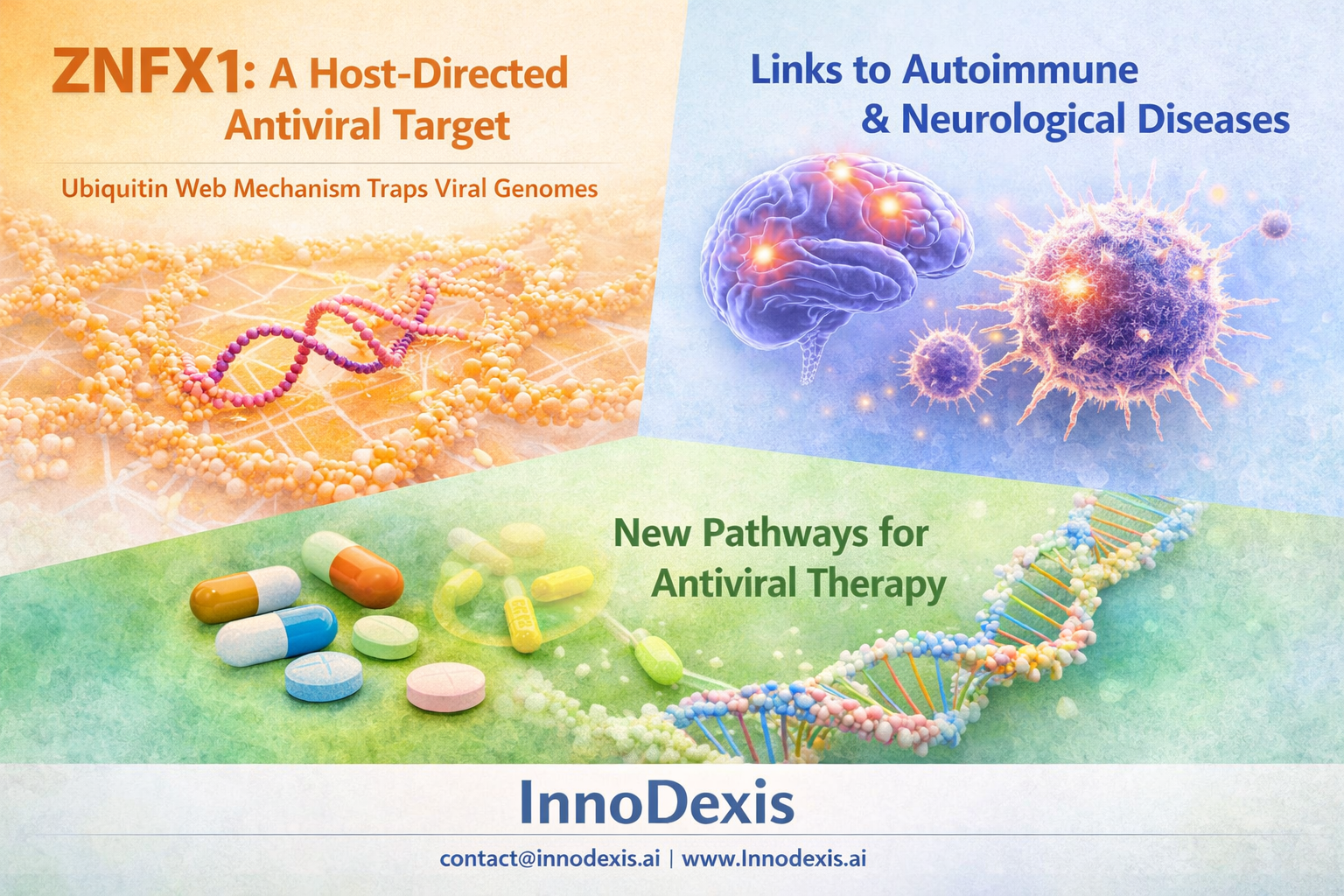 New Innate Immune Mechanism Identifies ZNFX1 as a Host-Directed Antiviral Target with Cross-Disease Relevance