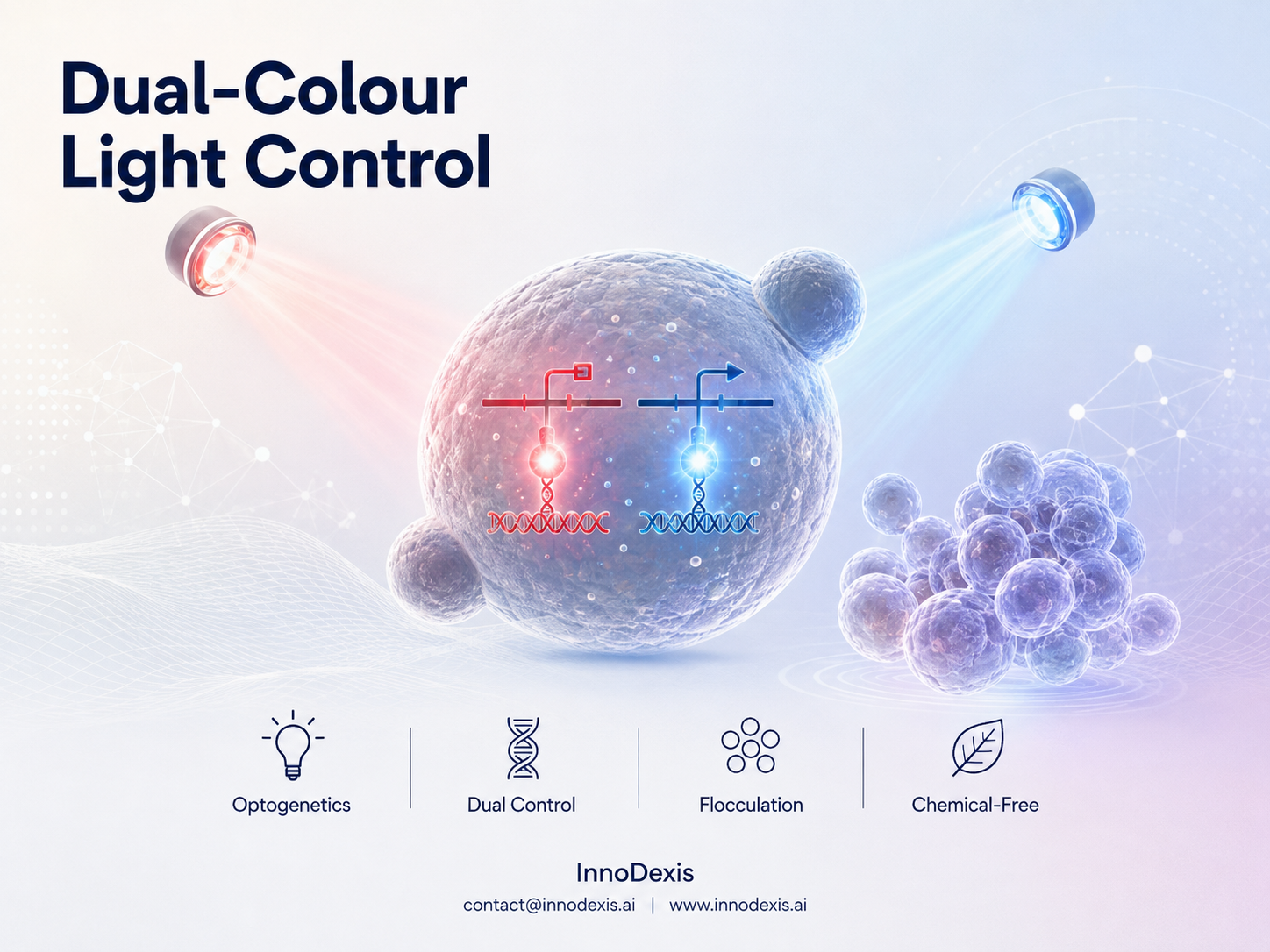 NUS Researchers Engineer Dual-Colour Light-Controlled Yeast to Replace Chemical Inducers in Multi-Pathway Biomanufacturing