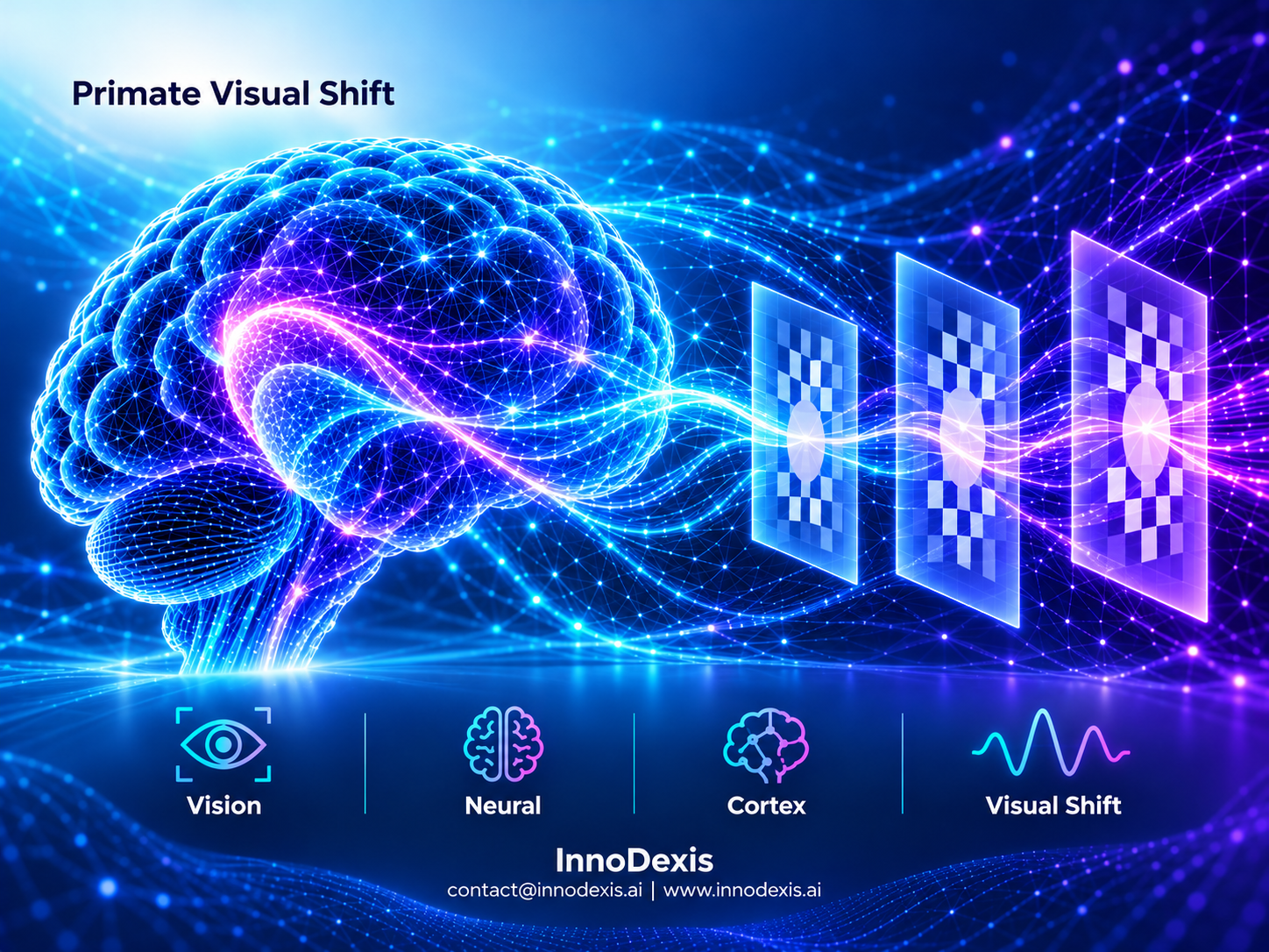 Primate Visual Cortex Shifts With Motion Illusion While Every Tested AI Vision Model Holds Static